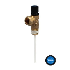 RWC TPR22 10 Bar Pressure & Temperature Relief Valve - PTEM575210