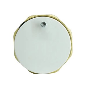 Advanced Water Universal 14" 1 3/4" Incoloy Immersion Heater with 3kw Thermostat - 584-255-1601