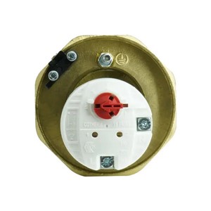 Advanced Water Universal 14" 1 3/4" Incoloy Immersion Heater with 3kw Thermostat - 584-255-1601