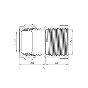 Express Compression Brass Straight Female Iron Coupling 28mm x 3/4"