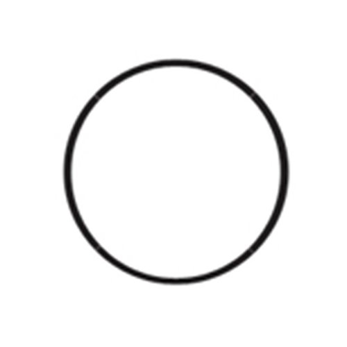 Grant Riello Oil Pump O-Rings - Pack 10