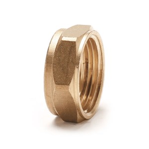 Express Compression Brass Cap Nut 22mm