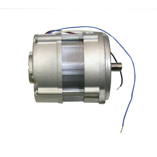 Grant RBS41 Motor Riello 3007971